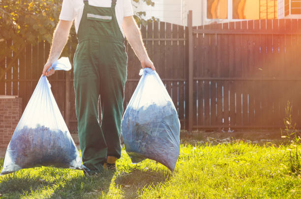 Demolition Debris Removal in Pasadena, TX